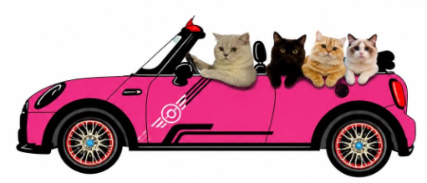 IMIAOU CATFE